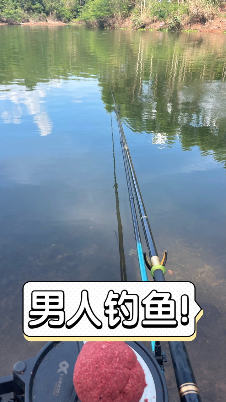 e6aef2501c20e84c7368e531ee375a31.jpg